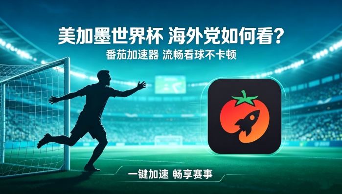 在俄罗斯看世界杯当前地区不可播放教程