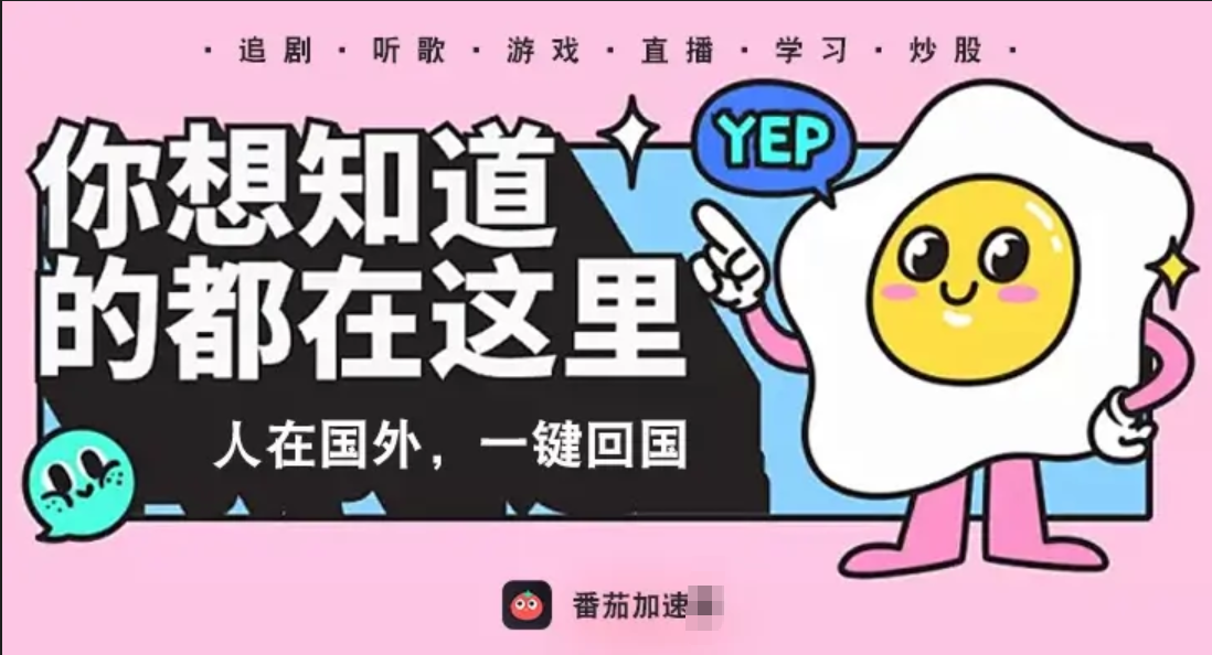 斧牛VPN好用吗？和小辣椒VPN对比哪个回国效果更好？教程